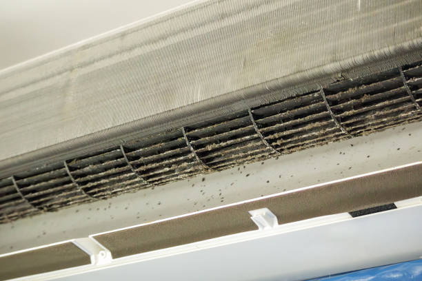 Best Air Duct Cleaning Near Me  in Litchfield, MI
